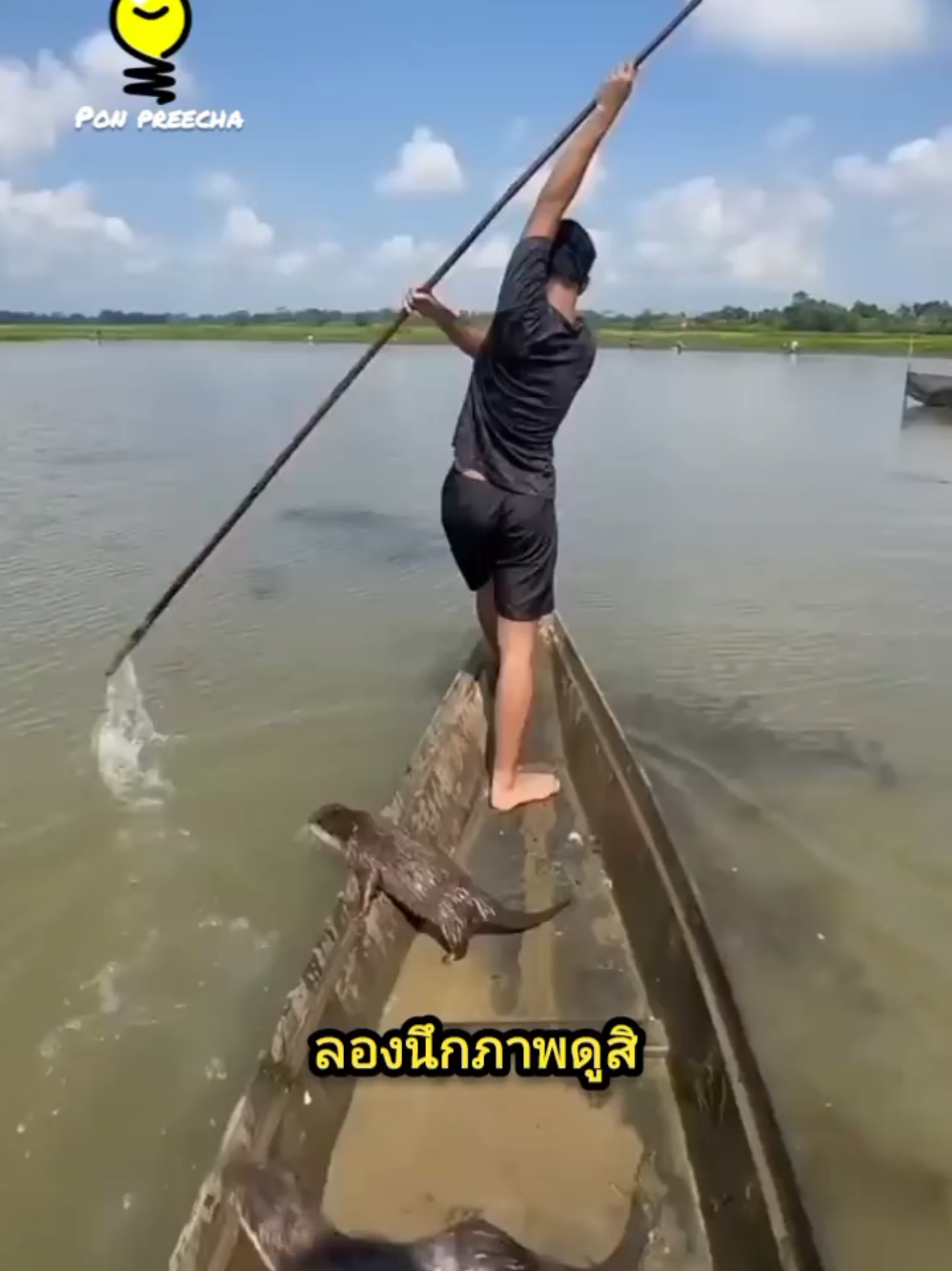 ชาวอินโดนีเซียใช้นากในการจับปลาแทนอวน #นาก #ชาวประมง #การจับปลา #shortvideo #คลิปreel