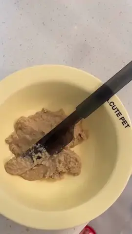 She acts like she’s never eaten before #funnytiktok #funny #funnyvideos #tiktok #cat #funnycat #Foryou #catsoftiktok 