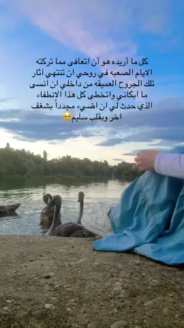 *أعلمُ أنَّك سميعٌ للدَّعاءِ، مُجيبٌ له، مُقدِّرٌ للخيرِ دائمًا، علَّام بما تضجُّ به هذه النَّفس، وبما يرهقُها ويشغَلُها، أعلمُ أن حاجتنا لكَ فطرةٌ، ومردَّنا دائمًا إلى سُبلِكَ، أجمعُ حاجاتي لأبوح بها بين يديك، فأبكي؛ لأنّني أدركُ أنَّ دعائي لا يمكن أن يبلغَ تمامَهُ مني، إنّما التمامُ منكَ، وحدَك عليمٌ بآمال النَّفسِ وآلامها كاملةً، عليمٌ بما ترجوه وما تخافه..* *يا ربّ؛ اجبرني وبصِّرني، وارضَ عنّي وارضِّني وهيِّئني للرضا، وامنُنْ عليَّ بعطاءاتكَ دائمًا، وارحمني أنا التي لا أرحمُ نفسي🥺🤍.*#صباح_الخير #لايكات #you #foryou #tiktok 