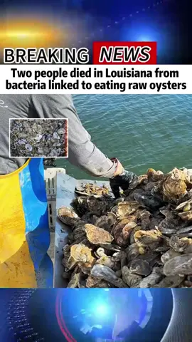#news #breakingnwes #fyp #foryou #oyster 