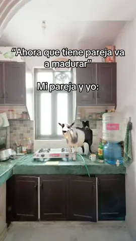 Ni que fuera fruta 😂 #humor #risa #parejas #meme #MemeCut 