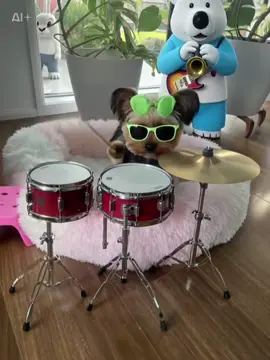 #capcut #yorkiesoftiktok #foryoupageofficiall #viraltiktok  #ドラマーになれる 
