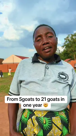 This group was able to return back the 5 goats 🐐 that were given to them last year and they where able to remain with 16 goats 🐐 in their farm isn’t that great 😌 you can become an active member with us today and become a millionaire #investing #wealth #youthplatformafrica #foryou #viral @OBED BEN @YPA SACCO @peterypagoat @Baby Heavens YPA @Baby Empress official 