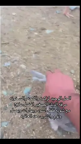 ابوعيدات وعمه مبارك
