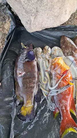spot rahasaya😅🤣 #spearfishing_reviews #spearfhisingindonesia #spearfishing #sonviraltiktok 