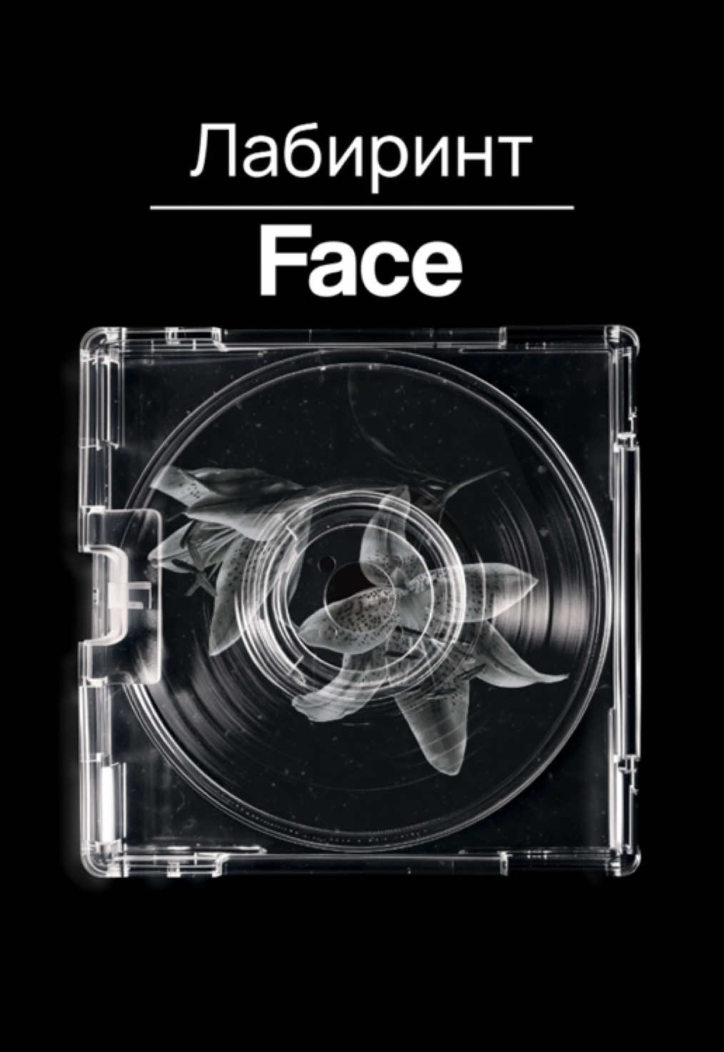 Лабиринт — Face #face #лабиринт #russiansong #tipografia #lyrics 