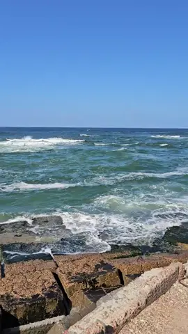 ياربي بموت في اسكندريه من كل قلبي ❤بجد 