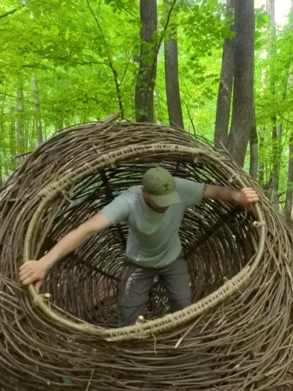 Building a Large Hive on a Tree. Survival shelter#outdoorcamping #creatorsearchinsights #bushcraft #USA 