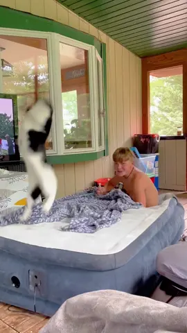 POV:You scared the cat into another realm #foryou #funnyvideos #fpy #cat #catsoftiktok 