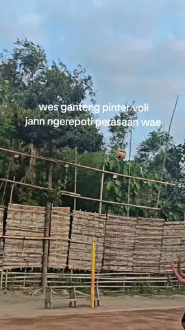 jann ngerepoti  #fyp #foryou #4u #voliamoneixte✈🦁 #josjiss💥 