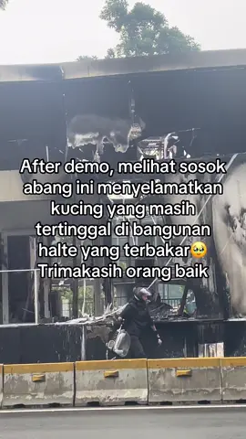 Sehat selalu bang #jakarta #catlover 
