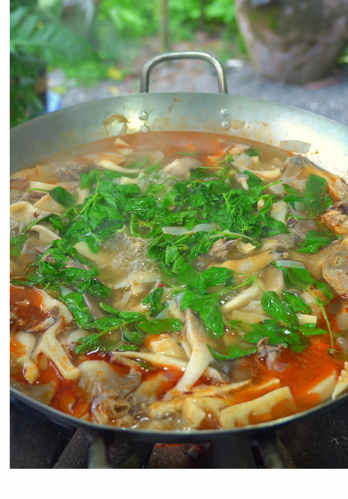 Không phải là Lẩu Gà Lá É, nhưng mà là Canh Gà Lá É và món Cá lóc đồng + trứng cá lóc kho tộ siêu ngon nha. #vanmonngonbungvi #TrulyVietnameseFlavor #No1FishSauceManufacturerinVietnam #ChinsuFishSauce #bepkhoinhabao 