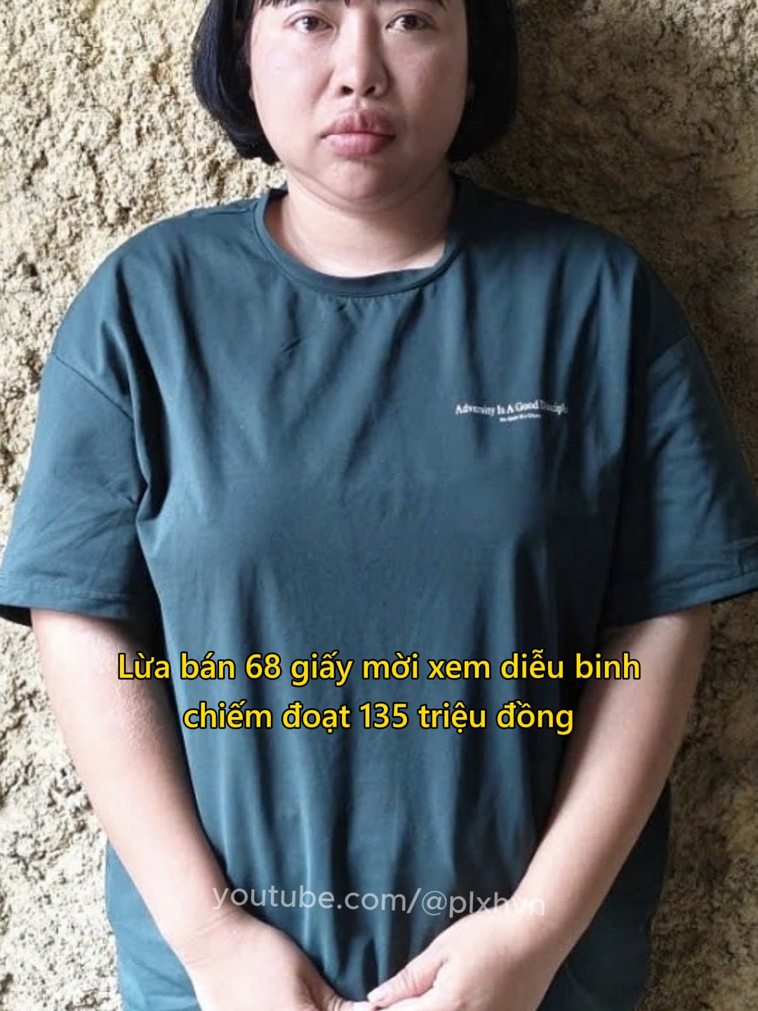 Lừa bán 68 giấy mời xem diễu binh #tintuc #tinnong #canhbao #luadao #dieubinh #quockhanh #plxhvn #phapluatxahoi