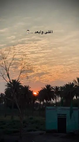 شوف الايام لبدوني شلون راح تمر عليك #صعدو_الفيديو #شعراء_وذواقين_الشعر_الشعبي🎸 #شعراء_وذواقين_الشعر_الشعبي #عبارات_جميلة_وقويه😉🖤 #عباراتكم_الفخمه📿📌 