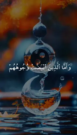 #بسم_الله_الرحمن_الرحيم #القران_الكريم #الله 
