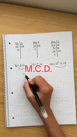 Come si trova il M.C.D. con la scomposizione in fattori primi #perte #neiperte #andiamoneiperte #primamedia #mcd 