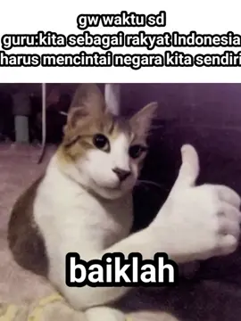 udah tau hidup hanya sekali, malah terlahir sebagai wni.#dpranjing #dprkontontol #koruptorhukummati #fypage #meme 