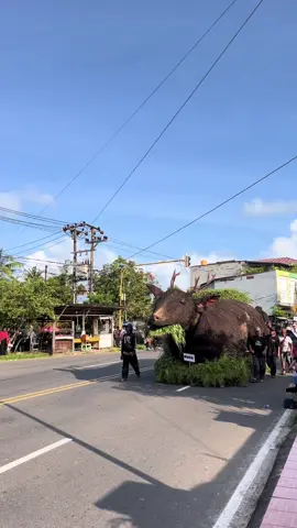 Pawai Pembangunan Belitung Timur Tahun 2025 ✨ gilakkk keren-keren sihhh! #manggar #belitungtimur #pawai 