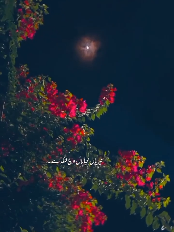 Teriyaan khiyalan vich lang de 💓💫#tiktokmusic #foryoupageofficiall #viral #trending #❤️❤️❤️ 