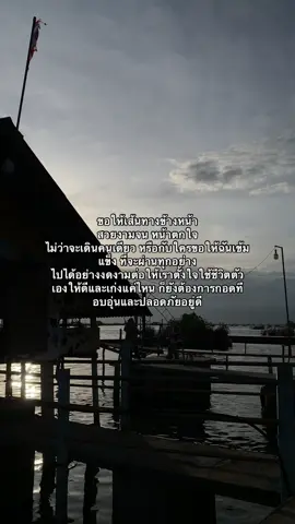 #ฟีดดดシ #เธรดน้องกัสซี่ #เธรดความรู้สึก 