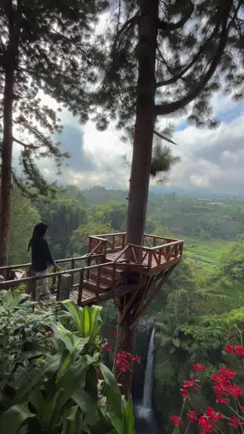 finding peace in nature’s embrace - - #airterjun #airterjunkedungkayang #explore 