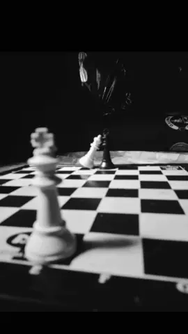 #chess #thewinnertakesitall 