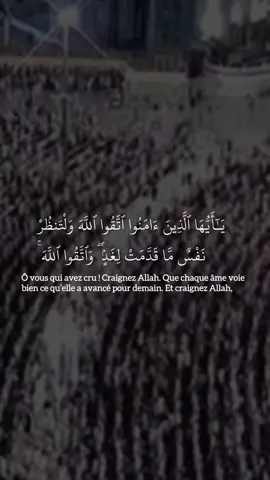 🎙️Sheikh Shuraim - Sourate Al Hashr 18-24 #coran #quran #shuraim #pourtoi #fyp 