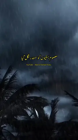 Masoom Bastion Ko Samandar Nigal Gya 💔 YouTube - Aleeza Kanwal Diary  #aleezakanwaldiary #fyp #artist #flood #trending 