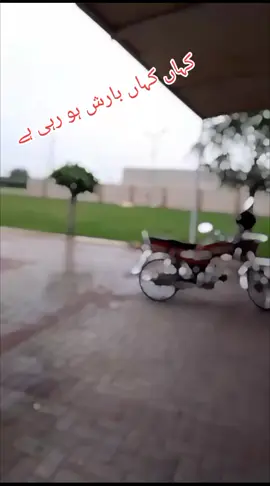#unfareezmyaccount🙏 #growmyaccount #trendingvideo #foryoupageofficiall #foryoupage❤️❤️ @...🤨مہر جی موچھاں الا😈... @Mustafa Qureshi @Jäñï Log✓ 
