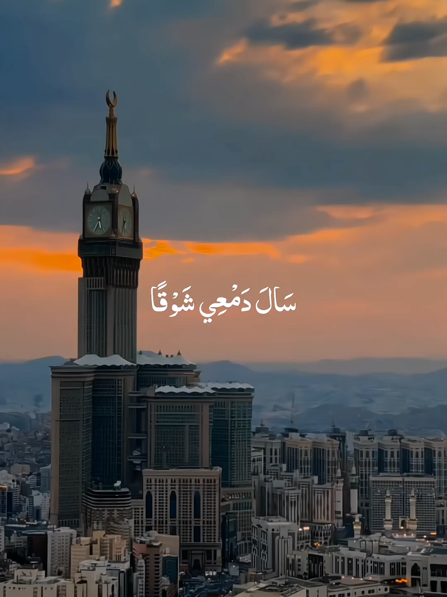 Qalbi Fil Madina  . . . . #nasheed #islamicstatus #viralvideos #maherzain  #qalbibeats 