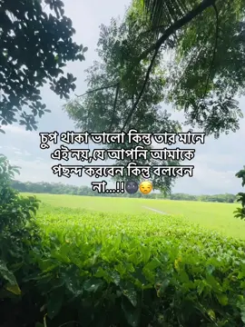 Setai🐸🙌#vairal #সবাই_কপিলিংক_করো_প্লিজ#foryoupage #foryoupageofficiall 