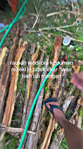#brandatiktok #trukstory #storywhatsapp #brandafypシ #sopirberkedokgabut #fypage 