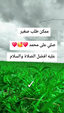 🤍🩵💚 #يسعدلي__اوقاتڪۘم  #عليه_افضل_الصلاه_والسلام  #السعب_الصيني_ماله_حل😂😂😂 