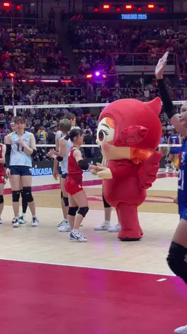 โคจิมะ กับเจ้าน้อนน น่ารักสุดๆ #volleyballworld #japanvolleyball #kojima 