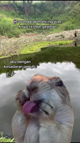 🗿 yo pie gaweane mancing #CapCut #promomakangajian #mancingmania #spotmancing #fyp 