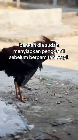 #fypシ゚ #masukberandafyp #katakata #maduraviral #bismillahfyp 