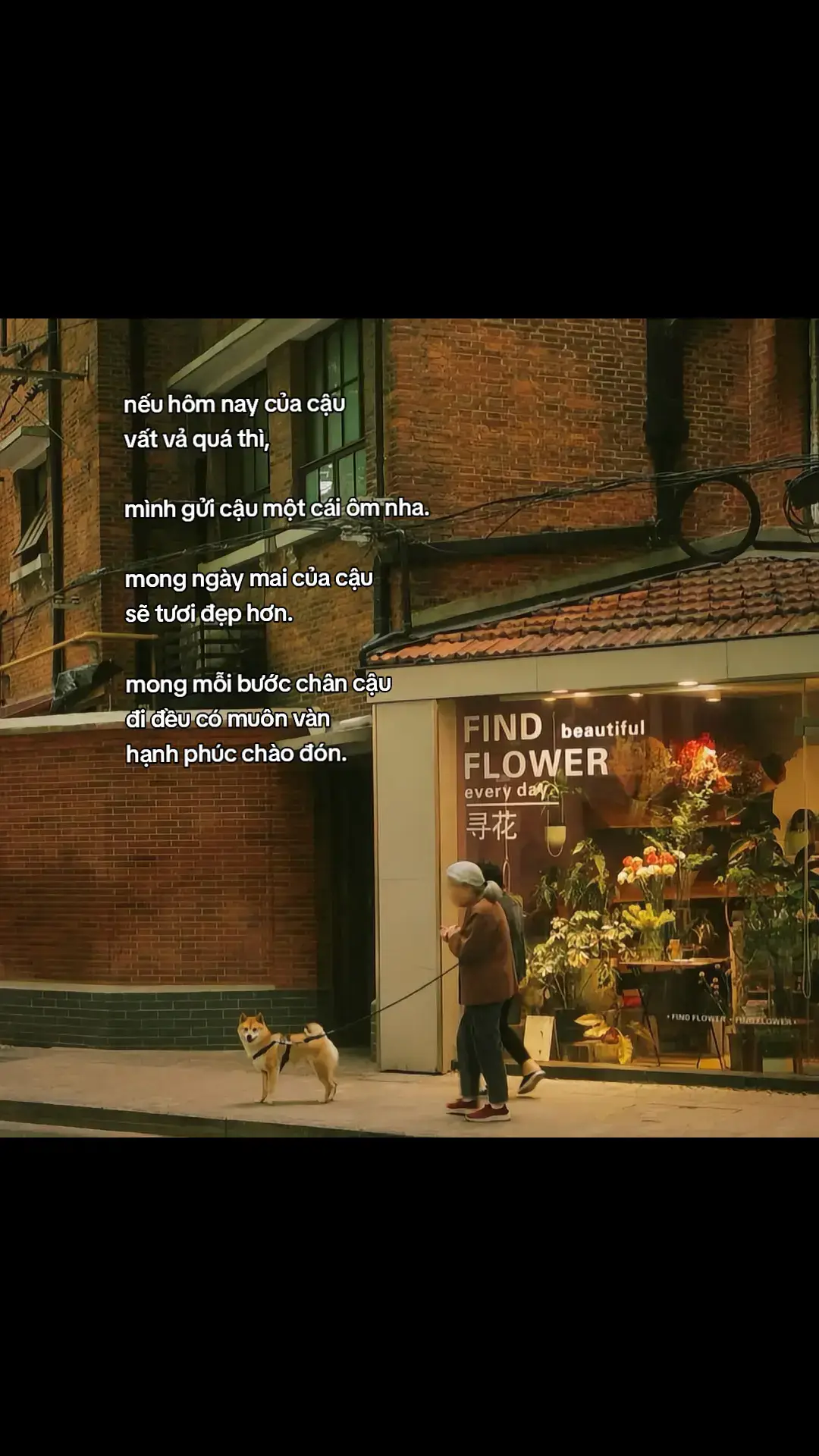 🥺 #xuhuong #tiktokviral #virial #fyp #tamtrang 