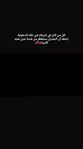 #حيدرالفريجي #دخولية #كربلاء #لواء #زينب 