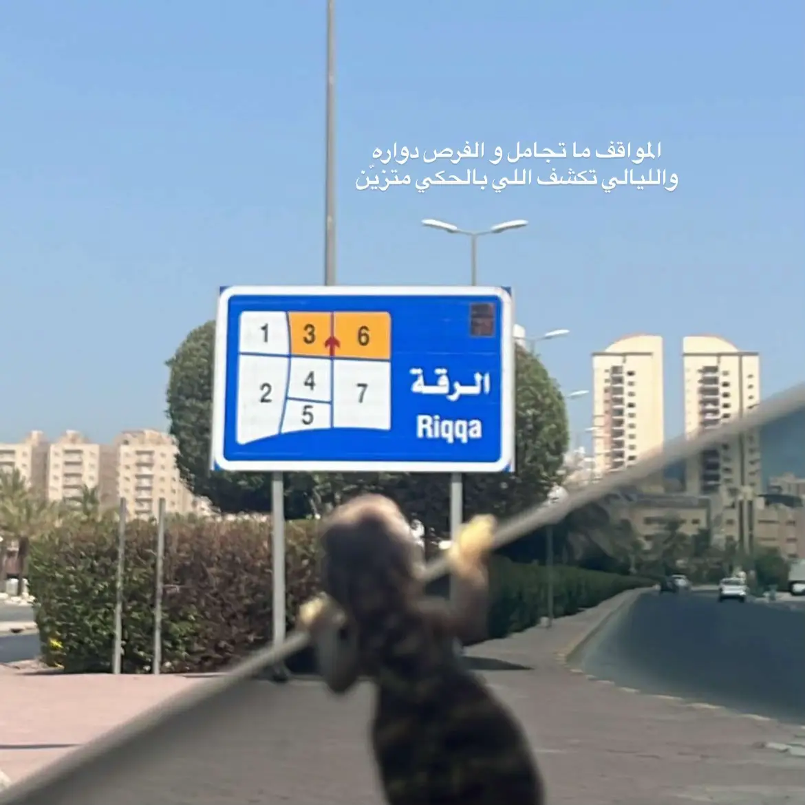#4u #505 #الرقه #fyp #fyppppppppppppppppppppppp 