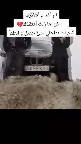 #ابراهيم_تاتلسيس #هوليا_افشار #اكسبلورexplore #مشاهدات #متابعة 