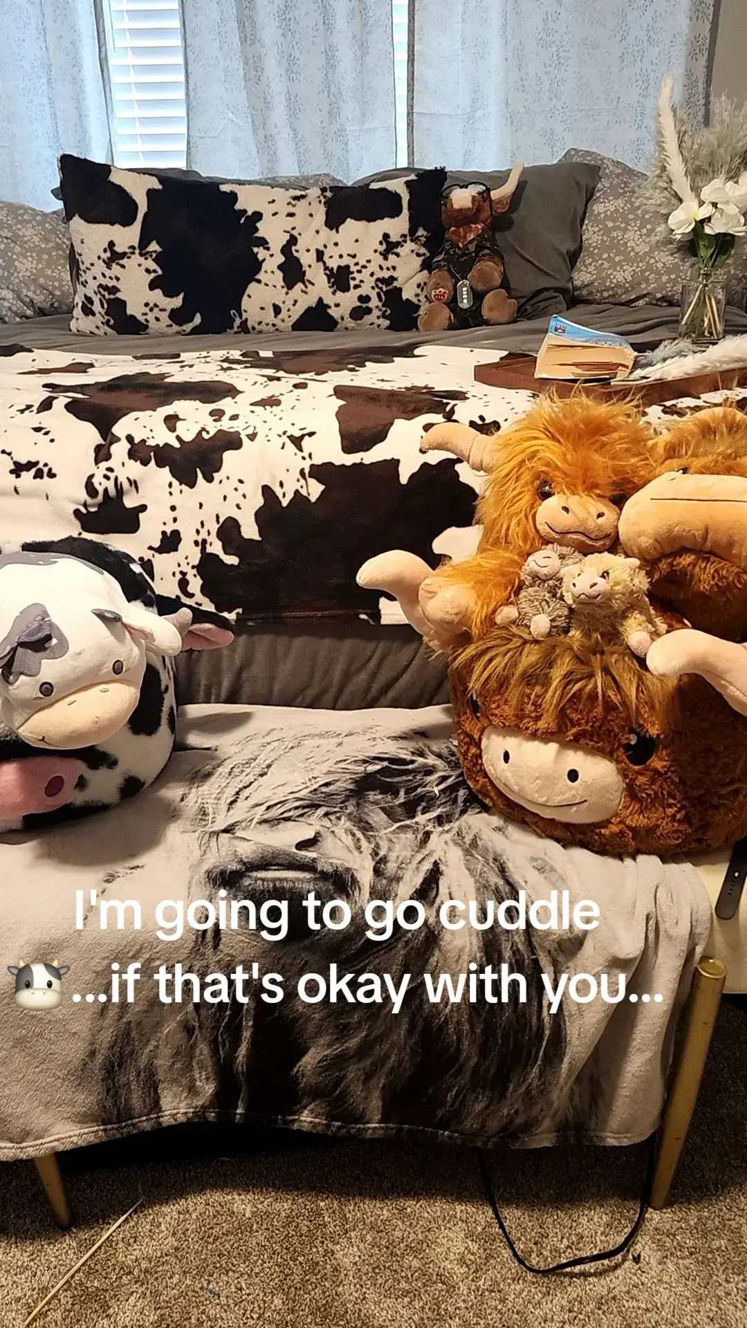 Heading to Luckie Farms to cuddle baby cows for an hour with my hubby...why? because COWS!!!!