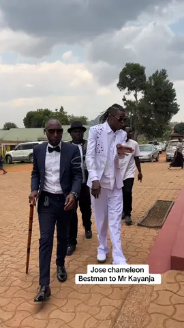 Happening now Jose chameleon #josechameleon #fyppppppppppppppppppppppp #seanstylezxclusive #tiktok #ugandatiktok 