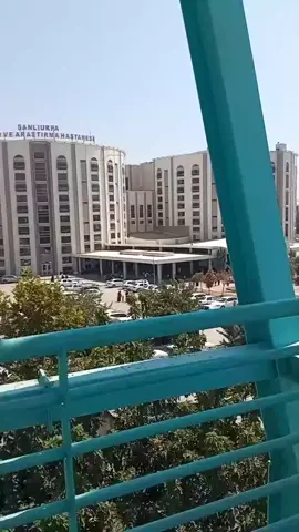 #شانلي_اورفاا_الايوبية💔🥀