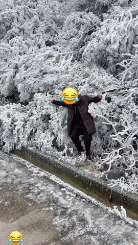 Did you laugh? Share this with your friends#fail #failvideo #failcompilation #failarmy #funny #funnyvideo #funnymoments 