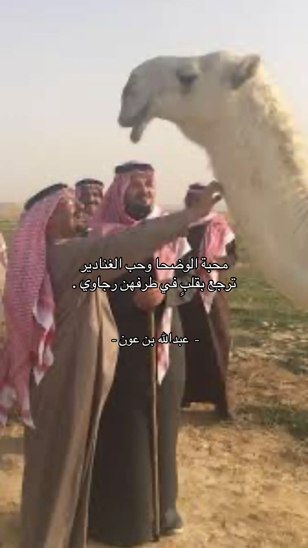 #عبدالله_عون #شعر #fyp #foryou