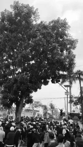 demo mdn #demo #madiun24jam #fyp #xybca #fyppppppppppppppppppppppp 