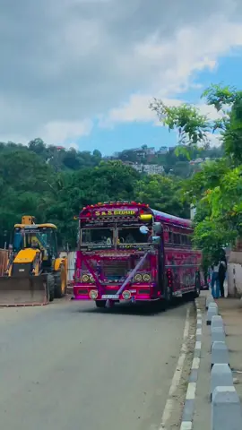 අද තාල රටා ආපු බස් කලාවේ අගරැජිණිය 💖👸 #dham_rajini #තාල_රටා_holi_fastival #special_hiring @Kasiya Bro 