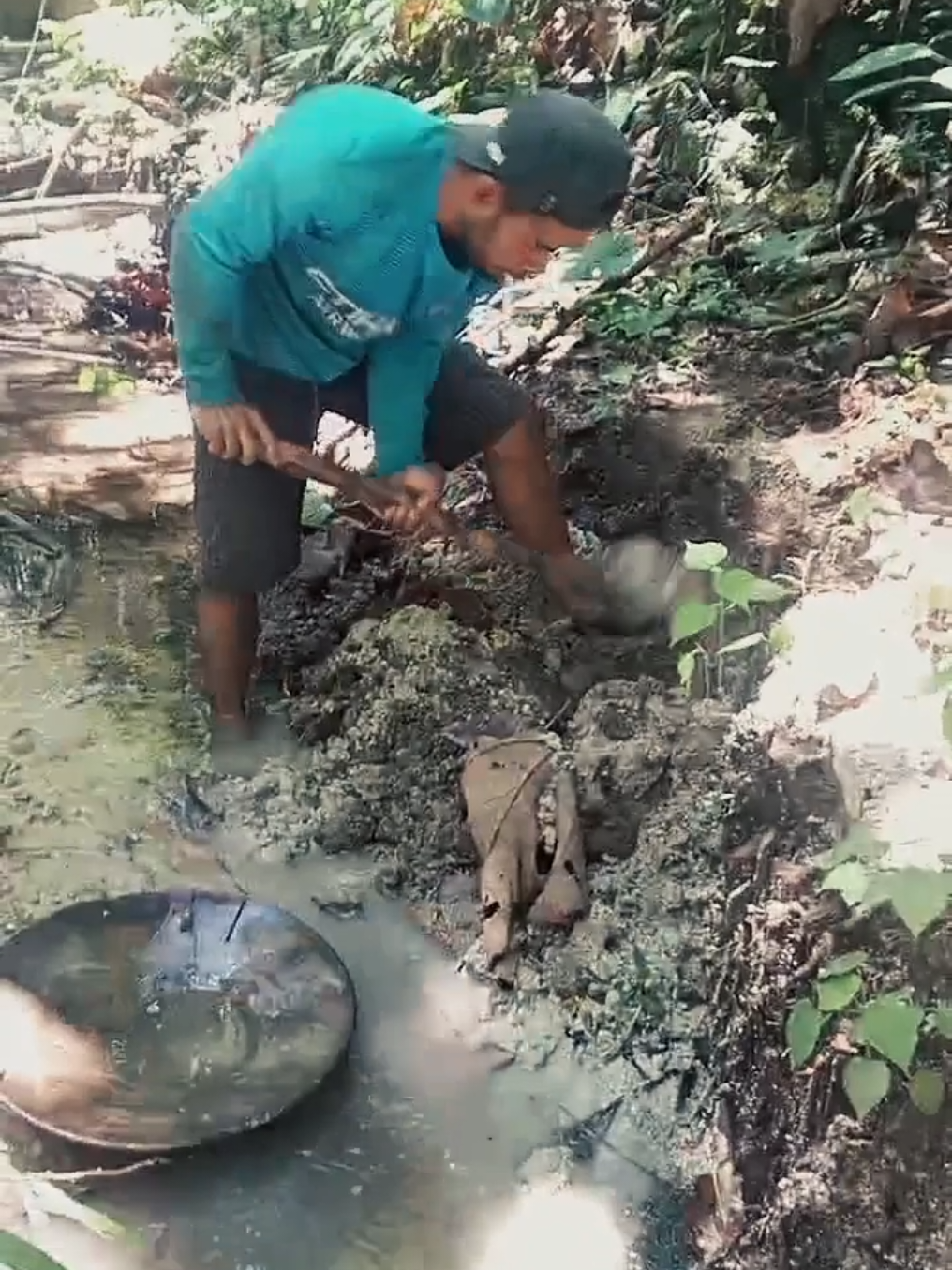 #banyakbisanya #cupcut #fyp kebetulan ketua banyak bisanya