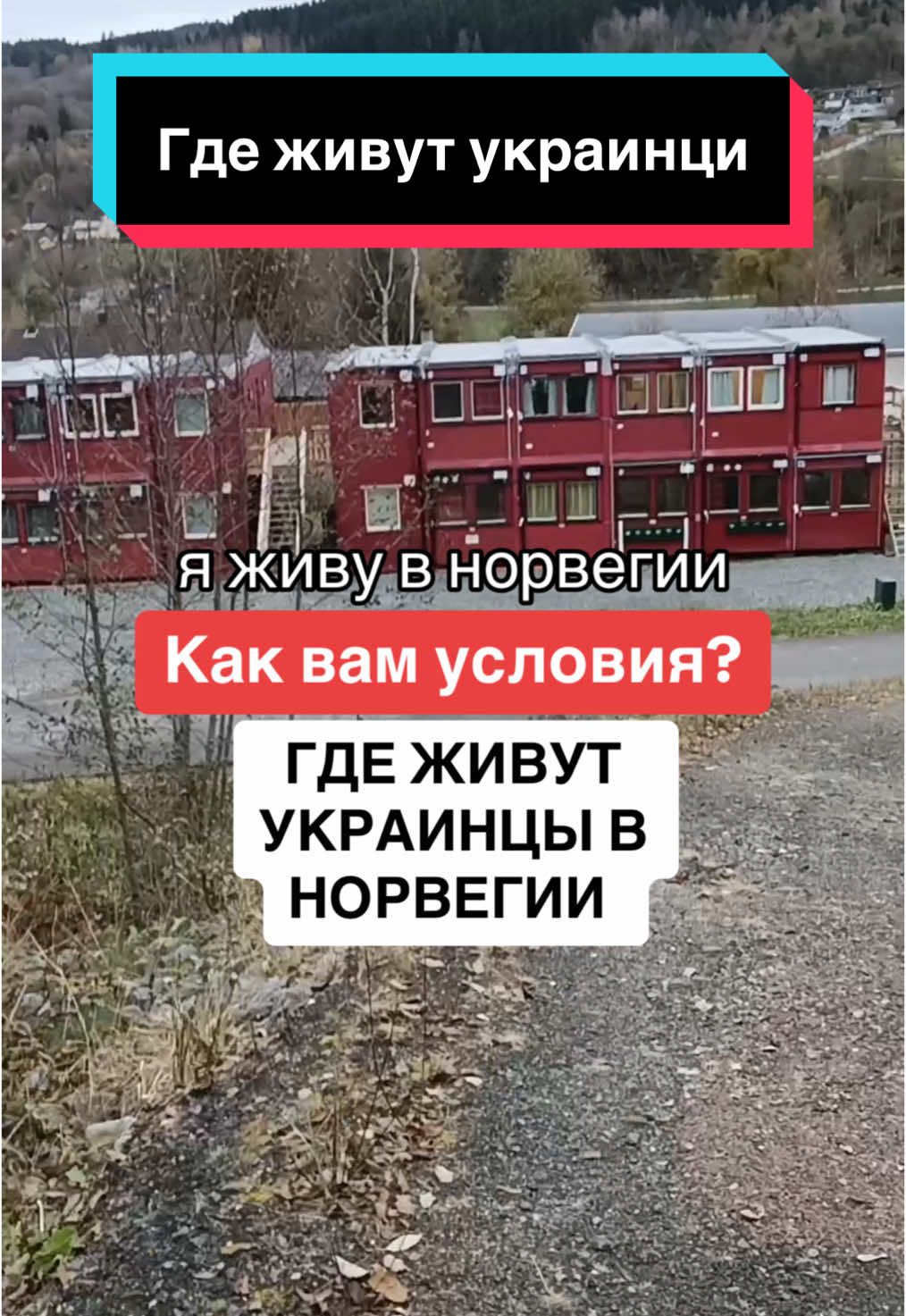 @🇳🇴Denys🇺🇦 Норвегия нас приняла очень хорошо дали нам все необходимое крышу над головой денежную помощь встретили нас с добротой спасибо за такую помощь Норвегии #германия #німеччина #germany🇩🇪 #украина #украинцы #беженцы #украинцывгермании #українцівнімеччині #українцівнорвегії #украинцывнорвегии #українцівчехії #українціванглії #українцівпольщі #украинцывпольше #українцізакордоном #українцівєвропі #українцівканаді #норвегия #норвегія #norway 