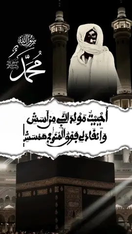 Niou waadj Gamou gui❤️❤️  @𝐇𝕥d𝐤𝐡_𝐥𝐨𝐟𝐟𝐢𝐜𝐢𝐞𝐥 ✪  #mouridemedias #khassida #magal #touba #gamou 